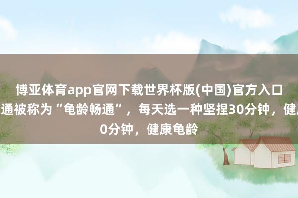 博亚体育app官网下载世界杯版(中国)官方入口 4种畅通被称为“龟龄畅通”,每天选一种坚捏30分钟,健康龟龄