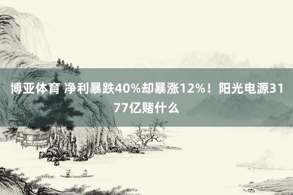 博亚体育 净利暴跌40%却暴涨12%!阳光电源3177亿赌什么