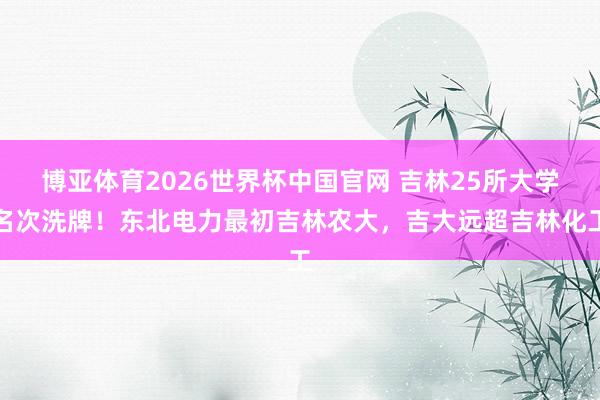 博亚体育2026世界杯中国官网 吉林25所大学名次洗牌!东北电力最初吉林农大,吉大远超吉林化工