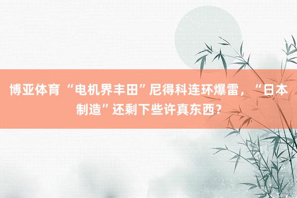 博亚体育 “电机界丰田”尼得科连环爆雷,“日本制造”还剩下些许真东西?