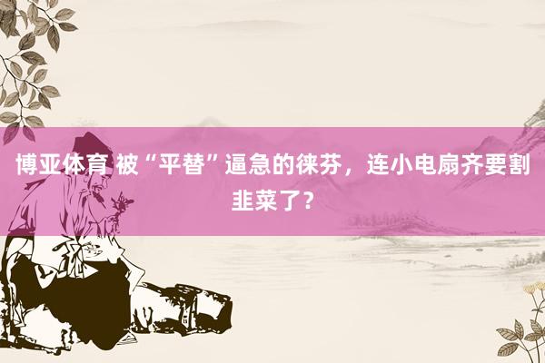 博亚体育 被“平替”逼急的徕芬,连小电扇齐要割韭菜了?