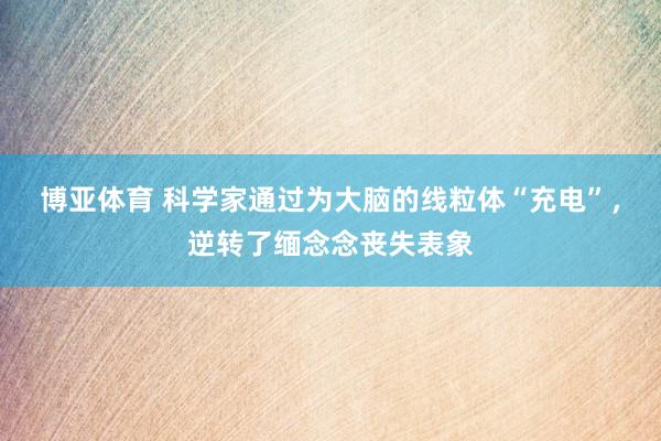 博亚体育 科学家通过为大脑的线粒体“充电”,逆转了缅念念丧失表象