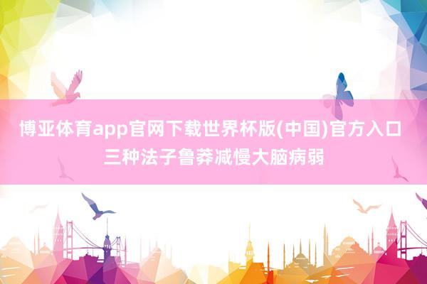 博亚体育app官网下载世界杯版(中国)官方入口 三种法子鲁莽减慢大脑病弱