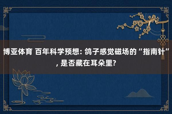 博亚体育 百年科学预想: 鸽子感觉磁场的“指南针”, 是否藏在耳朵里?