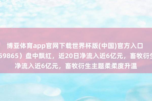 博亚体育app官网下载世界杯版(中国)官方入口 衍生ETF国泰（159865）盘中飘红，近20日净流入近6亿元，畜牧衍生主题柔柔度升温