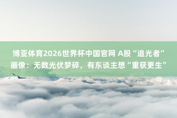 博亚体育2026世界杯中国官网 A股“追光者”画像:无数光伏梦碎,有东谈主想“重获更生”