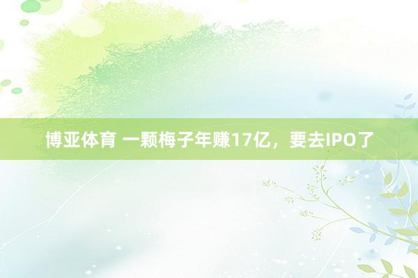 博亚体育 一颗梅子年赚17亿,要去IPO了