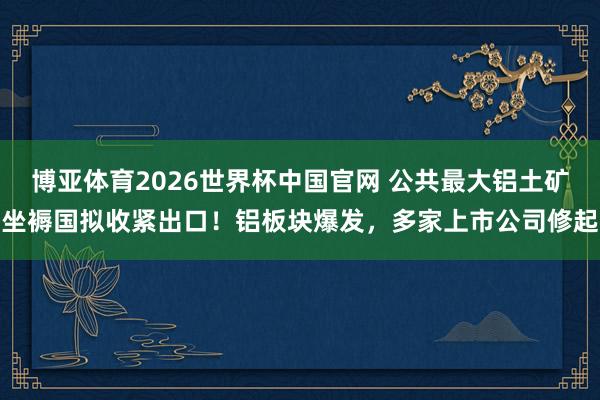 博亚体育2026世界杯中国官网 公共最大铝土矿坐褥国拟收紧出口!铝板块爆发,多家上市公司修起