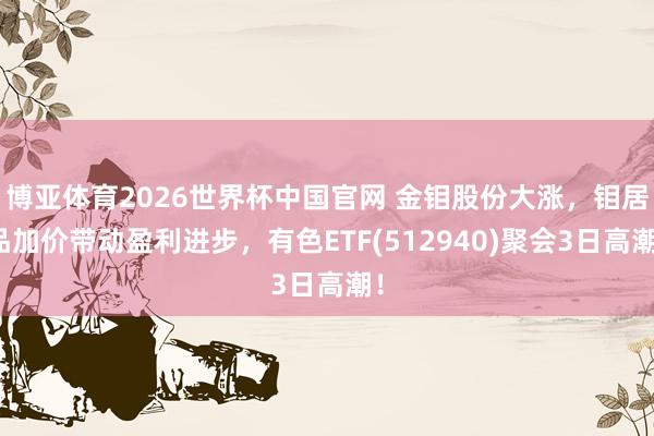 博亚体育2026世界杯中国官网 金钼股份大涨,钼居品加价带动盈利进步,有色ETF(512940)聚会3日高潮!