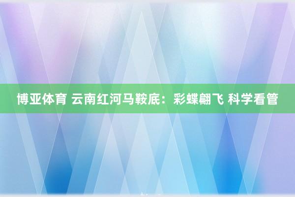 博亚体育 云南红河马鞍底：彩蝶翩飞 科学看管
