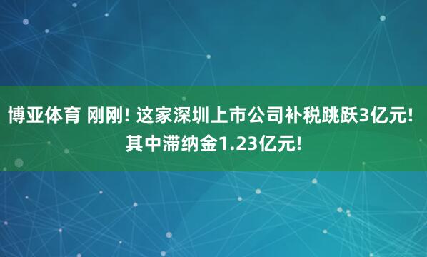 博亚体育 刚刚! 这家深圳上市公司补税跳跃3亿元! 其中滞纳金1.23亿元!