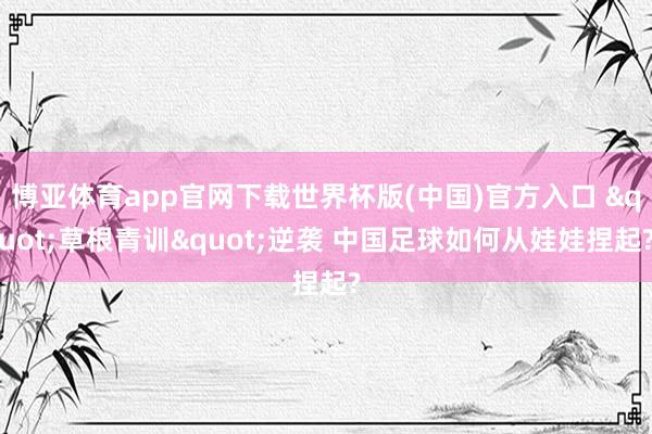 博亚体育app官网下载世界杯版(中国)官方入口 "草根青训"逆袭 中国足球如何从娃娃捏起?