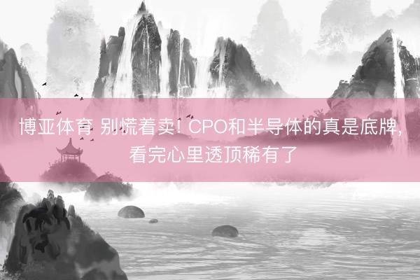 博亚体育 别慌着卖! CPO和半导体的真是底牌, 看完心里透顶稀有了