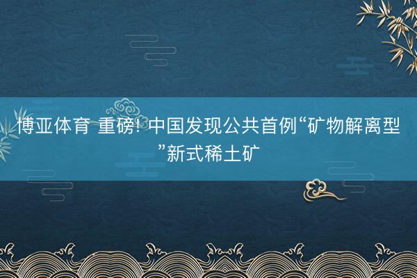 博亚体育 重磅! 中国发现公共首例“矿物解离型”新式稀土矿