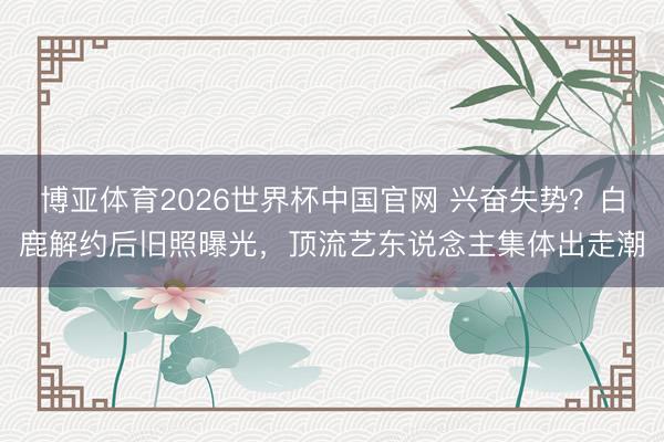 博亚体育2026世界杯中国官网 兴奋失势？白鹿解约后旧照曝光，顶流艺东说念主集体出走潮