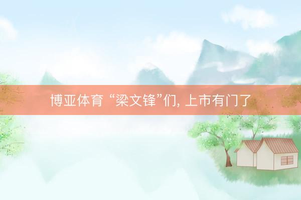 博亚体育 “梁文锋”们, 上市有门了